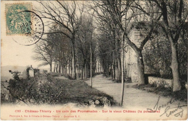 CPA CHATEAU-THIERRY Un coin des Promenades Sur le vieux Chateau (151992)