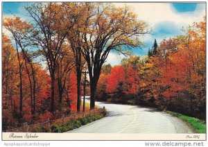 Canada Autumn Splendor Varietes Plus Plaza Delson Quebec