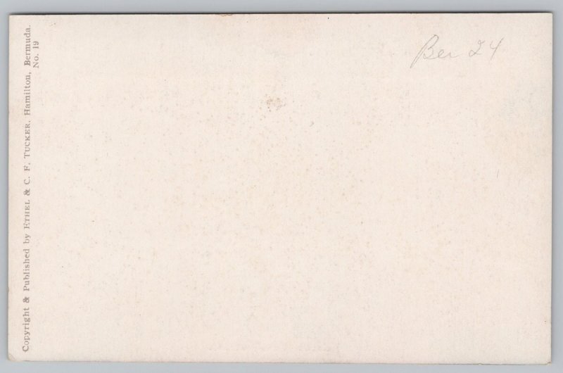 Postcard Palmetto Vale Bermuda Stone Path Trees House Art