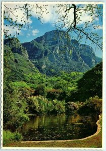 M-14273 Kirstenbosch Gardens Cape Town South Africa