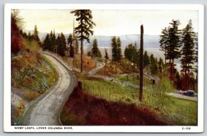 Oregon~Widby Loops Road @ Lower Columbia River~Pacific Novelty Vintage Postcard