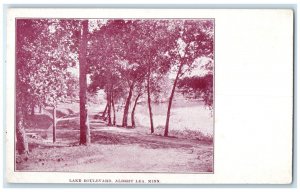 c1898 Lake Boulevard Exterior View Albert Lea Minnesota Vintage Antique Postcard