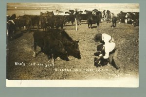 South Dakota RP c1910 COWBOYS ROPING CALF Branding Cattle Cowboy LEELAND ART CO.