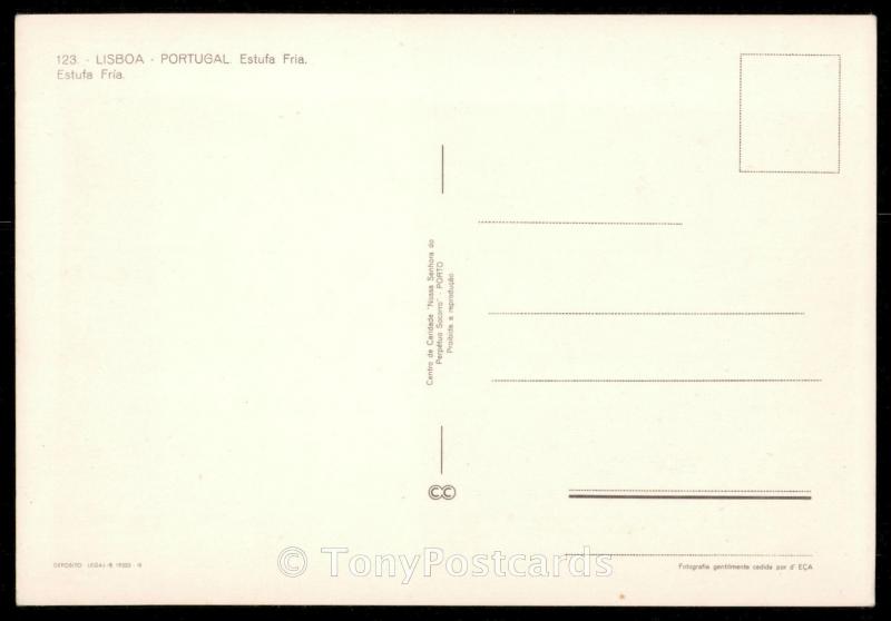 123 - LISBOA - PORTUGAL Estufa Fria