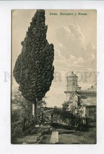 426638 Russia Sochi cypress lighthouse Vintage postcard