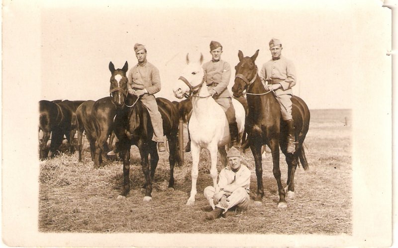 French soldiers with horses Old vintage antique French postcard