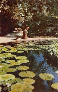 Lily Pond at Royal Botanical Gardens Hope Jamaica Unused 