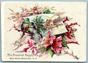 SOMERVILLE NJ SOMERSET SUPPLY CO ANTIQUE ADVERTISING VICTORIAN TRADE CARD
