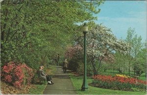 Maplewood New Jersey NJ Ward Homestead flowers people bench postcard F607 