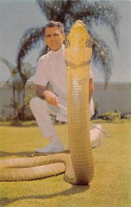 King Cobra Miami Serpentarium Miami FL