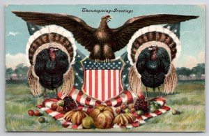 Thanksgiving Greetings Patriotic Eagle Turkey Shield Draped Flag Postcard V29