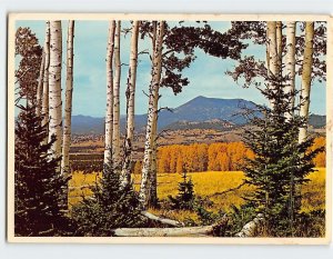 Postcard San Francisco Peaks, Arizona