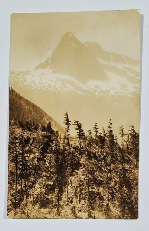 RPPC Beautiful Mountains and Snow Fields with The Pine Trees c1930 Postcard W12