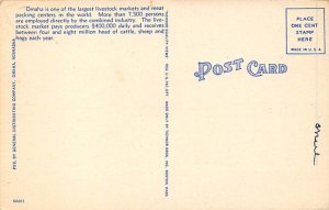 Union Stock Yard Pens Omaha, Nebraska, USA Cow Postcard