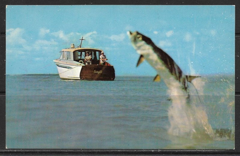 Rhode Island, Narragansett Bay - Hooked A Whopper! - [RI-154]