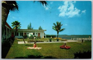 Vtg Clearwater Florida FL Aloha Motel Pinellas County 1960s Color View Postcard