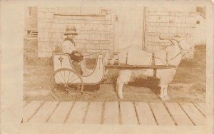 J78/ Interesting RPPC Postcard c1910 Early Goat-Drawn Cart Child 475