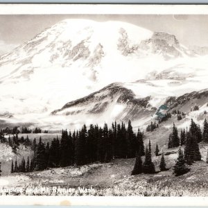 c1930s Mt. Rainier, Washington RPPC Blue Pacific Lupine Flowers PC Snow Fog A199