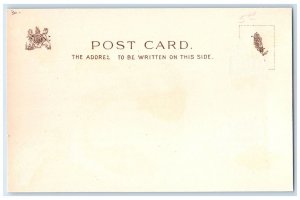 c1905 London Life Near The Houses Of Parliament Tuck's Unposted Antique Postcard