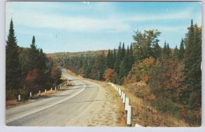 Fall Colours, Road Scene, Greetings From Tillsonbourg, Ontario, Vintage Postcard