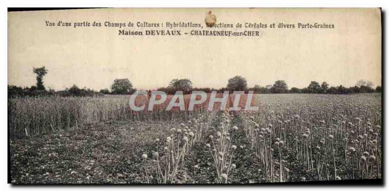 Old Postcard View of Folklore & # 39A Part crop fields Hydridations Selection...