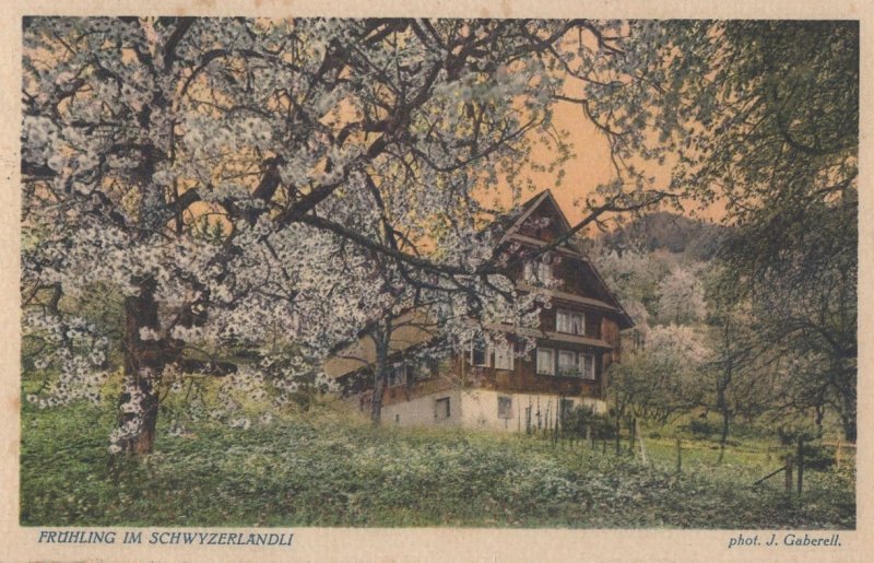 Fruhling Im Schwyzerlandli Switzerland Antique Postcard