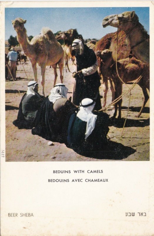 Israel Beer Sheba Beduins With Camels sk4142