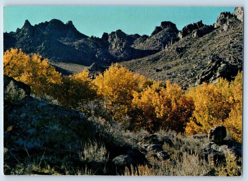 Jackpot Nevada Postcard Autumn Granite Mountain Range South 1960 Vintage Antique