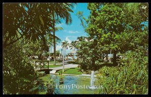 Scenic View of Grand Bahamas