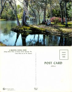 Florida Scene along Silver River, Silver Springs, Florida