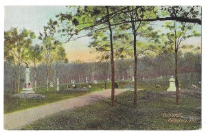 Culp's Hill, Gettysburg, Pennsylvania Unused Divided Back Postcard