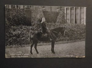 Mint Royalty RPPC Postcard HRH Prince Edward of Wales Our Future Sovereign Horse