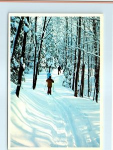 Postcard - Ski Touring - Minnesota