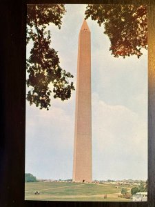 Vintage Postcard 1950's Washington  Monument Washington District of Columbia