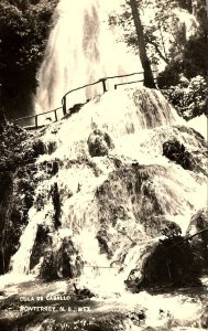 1920s MONTERREY MEXICO COLA DE CABALLO WATERFALL RPPC POSTCARD P1312