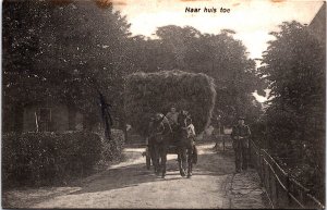 Netherlands Naar Huis Toe Horse Wagon Carriage Vintage Postcard C019