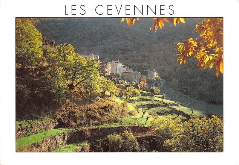 B49731 Les Cevennes panorama   france
