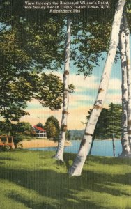 Vintage Postcard 1930s Birches Of Wilson's Point Sandy Beach Camp Indian Lake NY