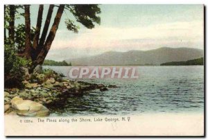 Postcard Old Pines along the Shore Lake George NY