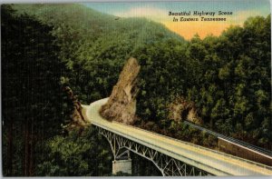 Beautiful Highway Scene Eastern TN c1954 Vintage Linen Postcard C38