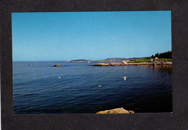 NS Indian Harbor Harbour Nova Scotia Canada Carte Postale Postcard South Shore