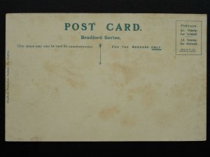 Ireland Wicklow BRAY Head & Esplanade c1908 Postcard by Bradford Co.