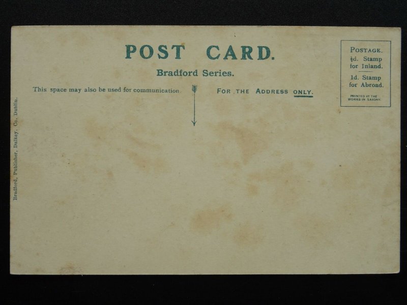 Ireland Wicklow BRAY Head & Esplanade c1908 Postcard by Bradford Co.