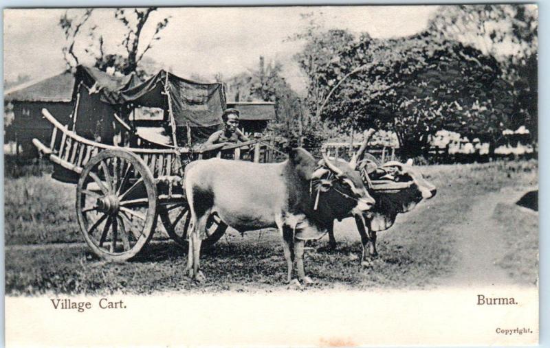 BURMA, now MYANMAR  View of VILLAGE OX CART ca 1900s  UDB Postcard