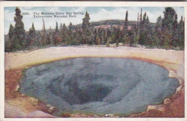 The Morning Glory Hot Spring Yellowstone National Park