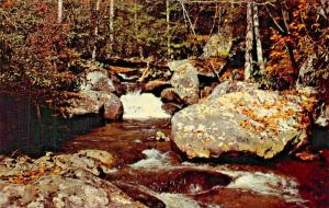 DILLARD GEORGIA~BETTY'S CREEK RECREATION AREA-TROUT FISHING-COPE OWNER POSTCARD