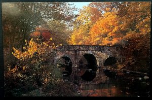 Vintage Postcard 1980s Wild Flower Preserve, Washington Crossing, PA