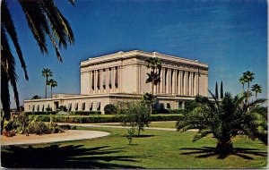 Mormon Temple Mesa Arizona AZ Palm Trees Landscape Cactus Blue Sky Postcard UNP 