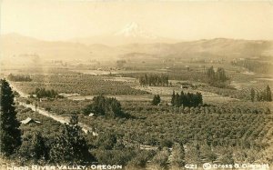 Farm Agriculture Hood River Valley Oregon RPPC Photo Postcard 20-2771