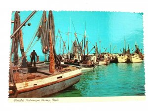 Vintage Postcard Florida's Picturesque Shrimp Boats Florida